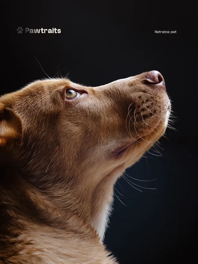 530353773_18053047376573717_3421389988549498712_n.